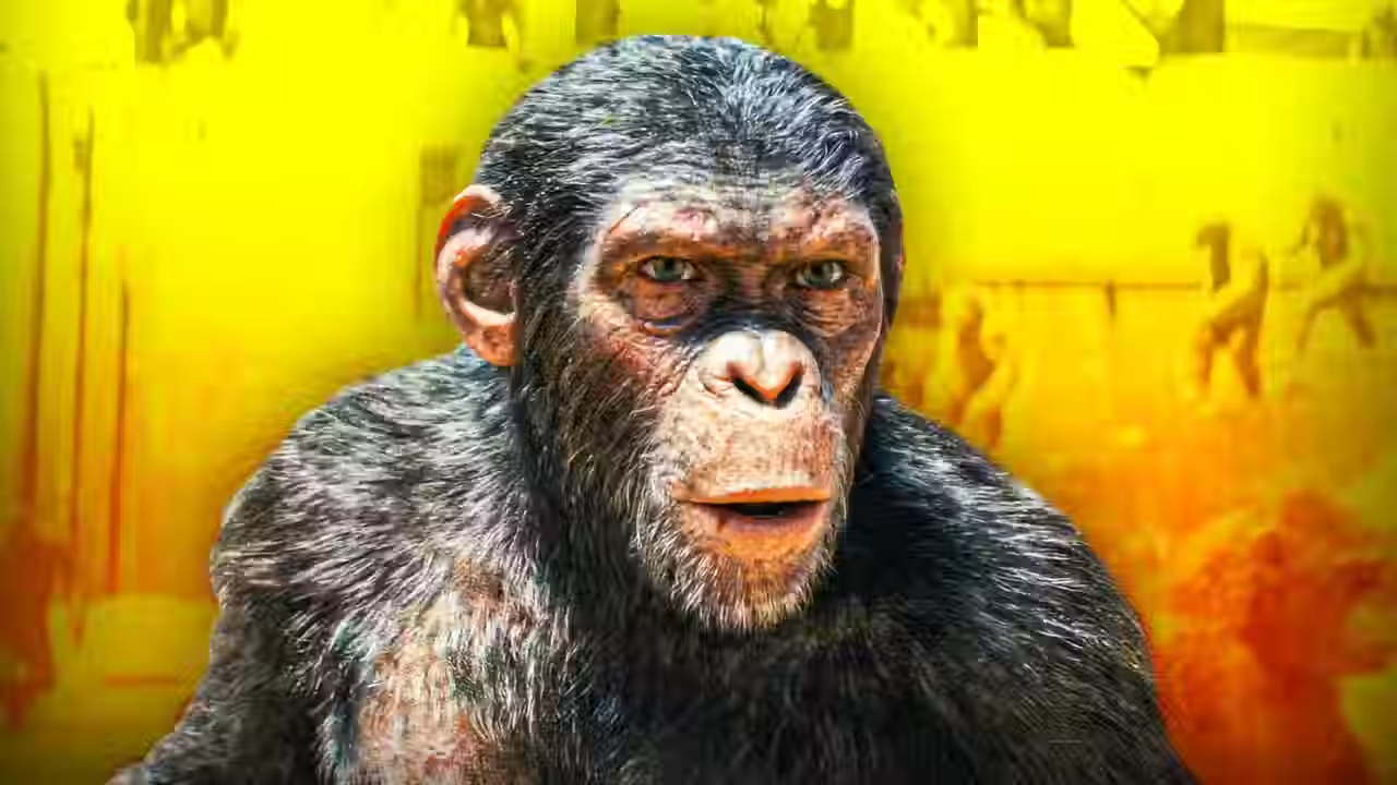 Kingdom of the Planet of the Apes' Budget Gets Surprising Confirmation from Director