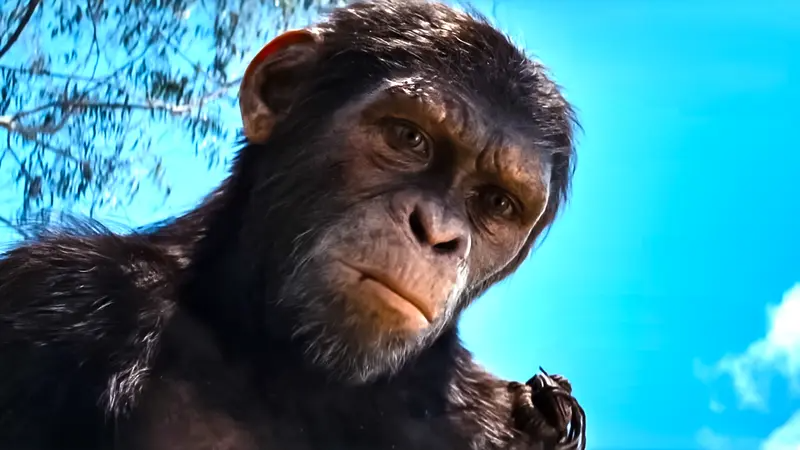 Kingdom of the Planet of the Apes Box Office & Profit Breakdown